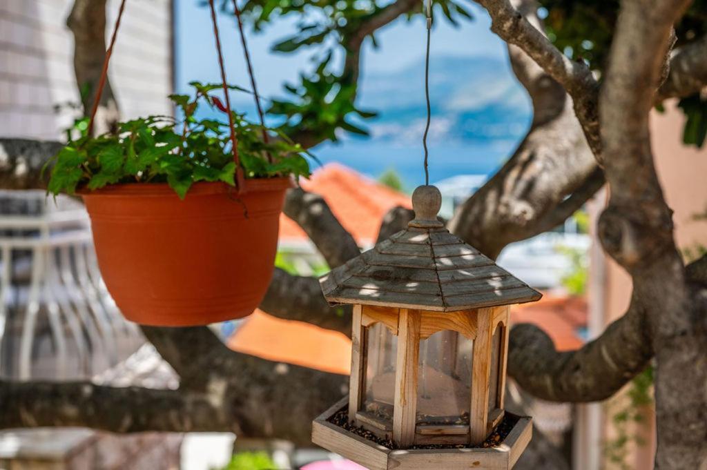 Villa Markoc Cavtat Bagian luar foto